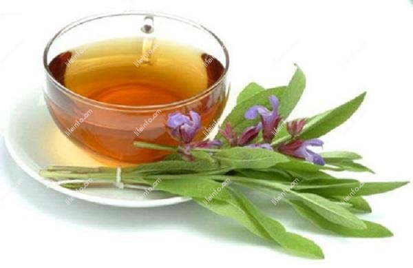 Եղեսպակ տղամարդկանց համար Եղեսպակ տղամարդկանց համար