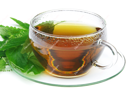 Պայքարում ենք ինքնուրույն Պայքարում ենք ինքնուրույն