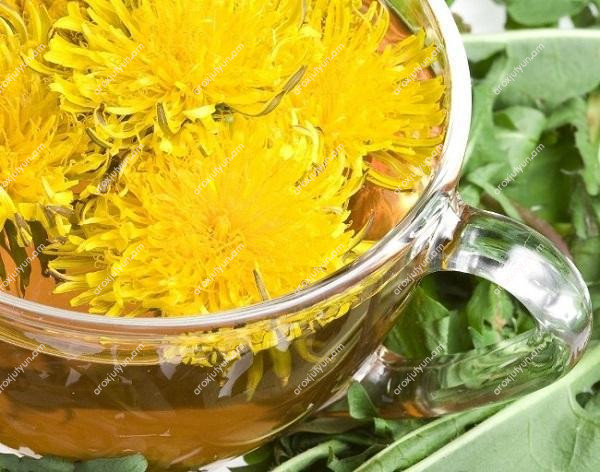 Ողնաշարի կրծքավանդակային շրջանի սկոլիոզ Ողնաշարի կրծքավանդակային շրջանի սկոլիոզ