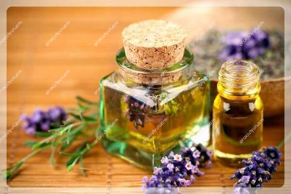 Հղիության ժամանակ Հղիության ժամանակ