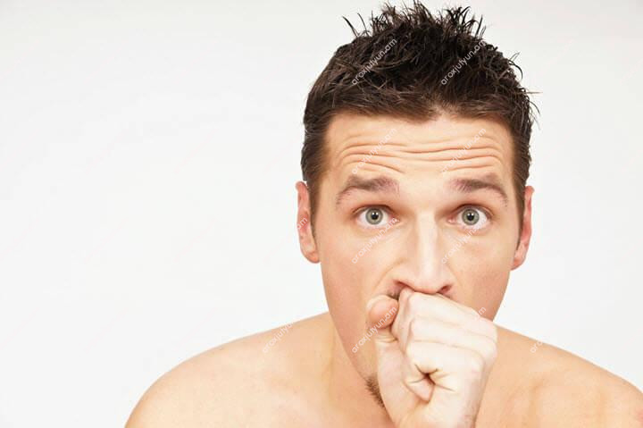 Շնչառական Օրգաններ Շնչառական Օրգաններ