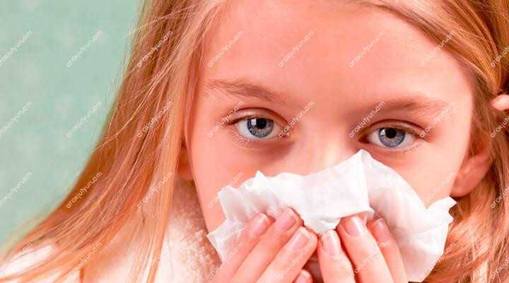 Շնչառական Օրգաններ