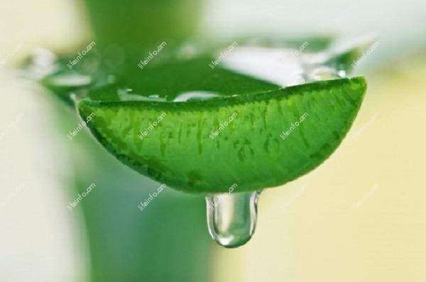 Հակացուցումներ Հակացուցումներ